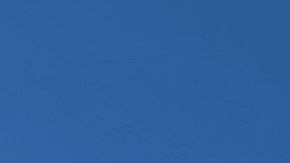 Usan la imagen del DMV para intentar hacer fraude.