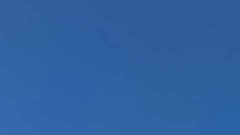 Usan la imagen del DMV para intentar hacer fraude.