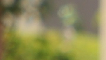 Cecilia González es una de las venezolanas demandantes.