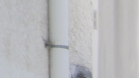 Pacientes que son llevados a la sala de emergencia de Centro Médico General de Los Ángeles pasan muchas horas para ser atendidos e incluso algunos han fallecido sin ver a un médico, dijo una doctora.