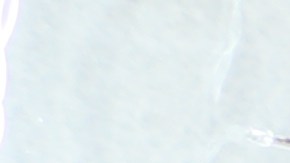 Valentín Granja mantiene herméticamente cerrado su negocio para proteger a sus clientes y empleados.