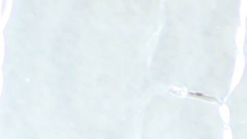 Valentín Granja mantiene herméticamente cerrado su negocio para proteger a sus clientes y empleados.