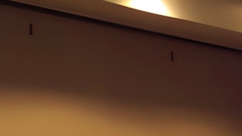 Trabajadores latinos se manifiestan.