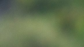 iudad de México, 27 de septiembre de 2024. Rogelio Funes Mori, durante un entrenamiento de los Pumas de la UNAM previo al partido de la jornada 10 del torneo Apertura de la Liga BBVA MX, en contra de las Águilas del América, celebrado en Cantera. Foto: Imago7/ Diego Padilla