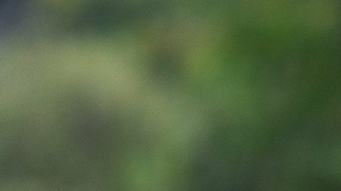 iudad de México, 27 de septiembre de 2024. Rogelio Funes Mori, durante un entrenamiento de los Pumas de la UNAM previo al partido de la jornada 10 del torneo Apertura de la Liga BBVA MX, en contra de las Águilas del América, celebrado en Cantera. Foto: Imago7/ Diego Padilla