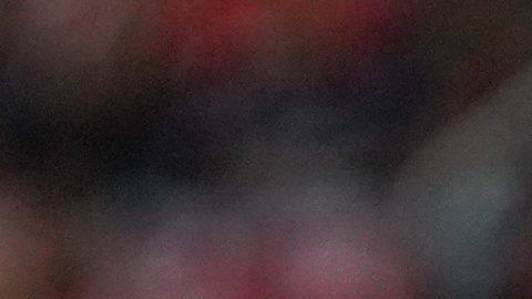 Juan Carlos Osorio durante su etapa con los Xolos de Tijuana.