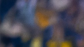 Ciudad de México, 29 de marzo de 2025. Brian Rodríguez en festejo de gol, durante el partido correspondiente a la jornada 13 del torneo Clausura 2025 de la Liga BBVA MX, entre las Águilas del América y los Tigres de la UANL, realizado en el estadio Ciudad de los Deportes. Foto: Imago7 / Diego Padilla