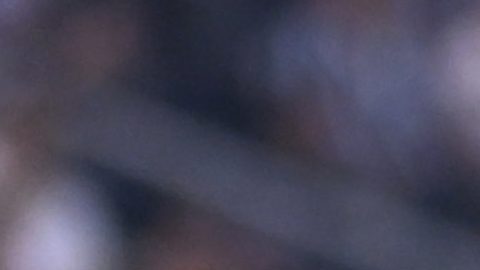 Fidel Ambríz vio minutos en todos los partidos del Mundial de Clubes 2025.