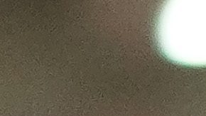 Toluca, Estado de México, 17 de mayo de 2025. Antonio Mohamed "Turco", Director Técnico, durante el partido correspondiente a la vuelta de las Semifinales del torneo Clausura 2025 de la Liga BBVA MX, entre los Diablos Rojos del Toluca y los Tigres de la UANL, realizado en el estadio Nemesio Diez. Foto: Imago7