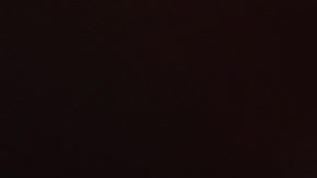 André Jardine, DT de América.