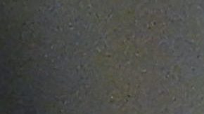 Las Vegas, Nevada, Estados Unidos, 22 de junio de 2025. Keylor Navas, durante el partido correspondiente a la fase de grupos del Grupo A de la Copa Oro de la CONCACAF 2025, entre la Selección Nacional de México y la Selección de Costa Rica, celebrado en el Allegiant Stadium. Foto: Imago7/ Etzel Espinosa