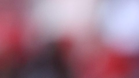 Mohamed, entrenador del Toluca.