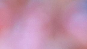 Zapopan, Jalisco, 26 de julio de 2025. , durante el partido correspondiente a la jornada 3 del torneo Apertura 2025 de la Liga BBVA MX, entre las Chivas Rayadas del Guadalajara y el Atlético San Luis, realizado en el estadio Akron. Foto: Imago7/ Juan Carlos Cubeyro.