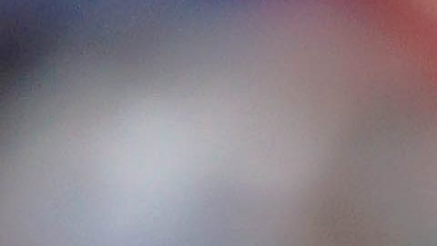 Rodríguez jugó en Alemania y Países Bajos.