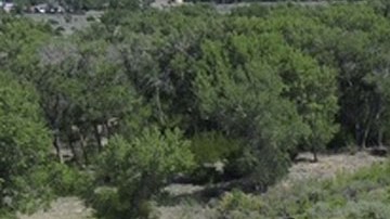 Río Ruidoso ubicado en Nuevo México