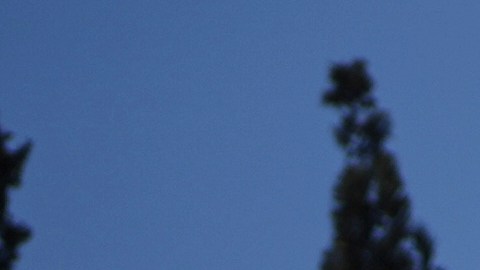 Surgen nuevos detalles sobre la propuesta de alto el fuego en Gaza.