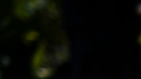 Alberto, un jornalero que sigue buscando trabajo a pesar de los riesgos