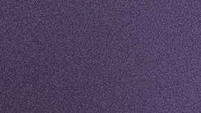 Julio César Chávez Jr.