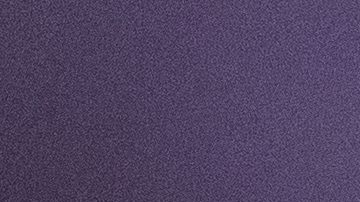 Julio César Chávez Jr.