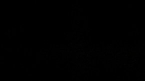 Julio César Chávez Jr.