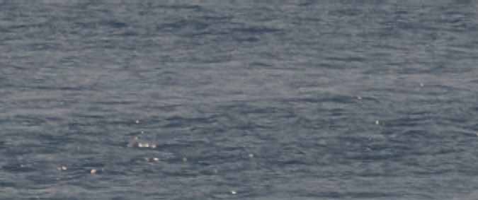 Jurassic World Rebirth