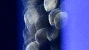 Former Vice President Kamala Harris accepts the chairman's award during the 56th NAACP Image Awards on Saturday, Feb. 22, 2025, in Pasadena, Calif. (Photo by Richard Shotwell/Invision/AP)