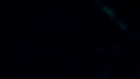 La Pasajera.