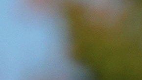 Lara Lea Trump, nuera del presidente de la nación