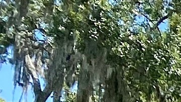 Las 6 de prendas esenciales de verano que debes comprar en Sam's Club