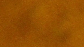 Las cinco monedas de trigo que podrías tener en tu colección que valen hasta $7,500