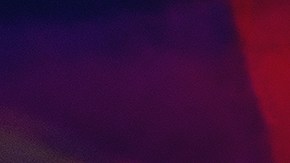 Látigo y sombrero de Indiana Jones