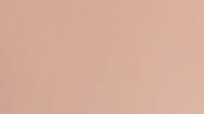 Los elementos supuestamente estarán en áreas administrativas y logísticas, sin contacto directo con personas bajo custodia del ICE.