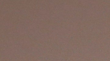 En anteriores ocasiones, el cardenal McElroy rechazó la idea de etiquetar a los inmigrantes como delincuentes.