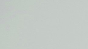 Autoridades confirmaron 11 víctimas de apuñalamiento masivo en Walmart de Míchigan.