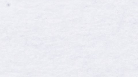 Monedas de 25 centavos de los 50 estados de EE.UU.