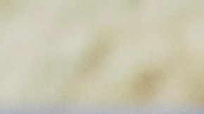 Gobierno  de Trump acusa que el régimen de Maduro brinda apoyo material a organizaciones terroristas extranjeras.