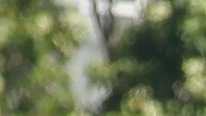 Police officers stand at a freeway entrance in San Francisco, Saturday, June 13, 2020, at a protest over the Memorial Day death of George Floyd, who died after being restrained by Minneapolis police. (AP Photo/Jeff Chiu)