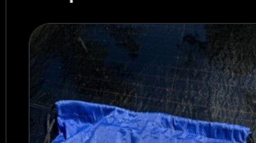 La Patrulla Fronteriza compartió imágenes de los detenidos.