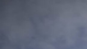 Bandera del Partido Demócrata