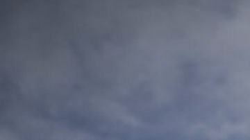 Bandera del Partido Demócrata