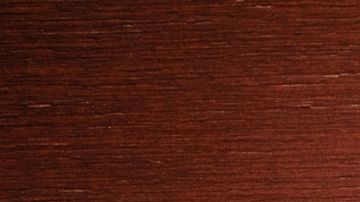 La inteligencia es un rasgo característico en estos signos.