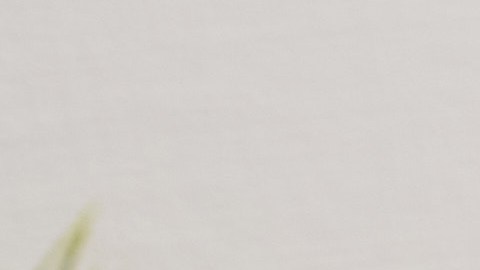 Hacer pequeños cambios en la dieta y el estilo de vida puede marcar la diferencia en la prevención de la diabetes tipo 2 en la comunidad latina.
