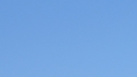 A person holds a sign in front of federal agents at MacArthur Park Monday, July 7, 2025, in Los Angeles. (AP Photo/Damian Dovarganes)
