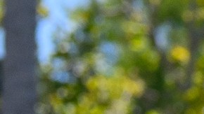 Emily Escobar habla del impacto los recortes a Medicaid tendrán para las personas que dependen de los servicios de Planned Parenthood.