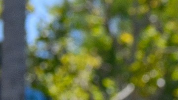 Emily Escobar habla del impacto los recortes a Medicaid tendrán para las personas que dependen de los servicios de Planned Parenthood.