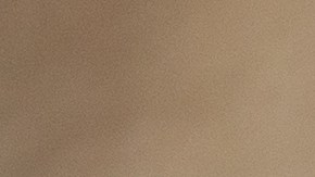 Proyecto de ley podría beneficiar a trabajadores que reciben propinas con una nueva exención fiscal