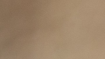 Proyecto de ley podría beneficiar a trabajadores que reciben propinas con una nueva exención fiscal