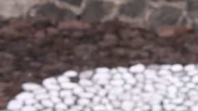 Publicación: Jul. 24 2025 Fotógrafo: Óscar Mireles Lugar: CIUDAD DE MÉXICO Formato: 1500 x 999 JPG Documento: 544.0 KB Folio: 2636672