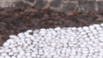 Publicación: Jul. 24 2025 Fotógrafo: Óscar Mireles Lugar: CIUDAD DE MÉXICO Formato: 1500 x 999 JPG Documento: 544.0 KB Folio: 2636672