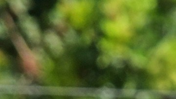 Juan Duran, and his wife, no name given, wait outside of Glass House Farms, where a relative was injured during a previous day immigration raid, on Friday, July 11, 2025, in Camarillo, Calif. (AP Photo/Damian Dovarganes)